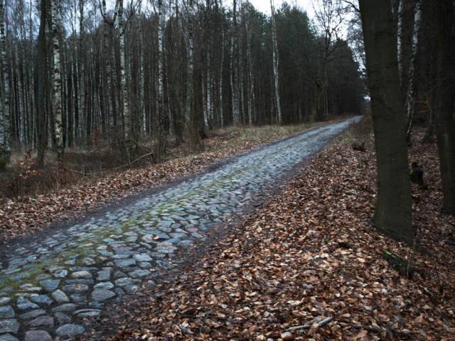 Rowerowa Leśna ścieżka edukacji ekologicznej (szlak niebieski)