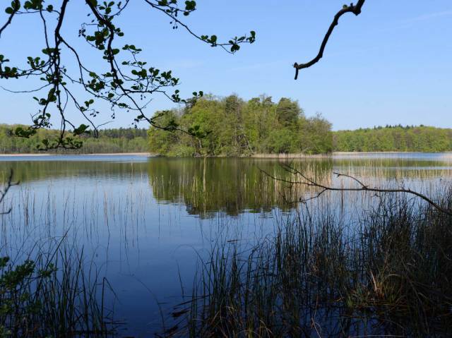 Piesza Leśna ścieżka edukacji ekologicznej (szlak czerwony)