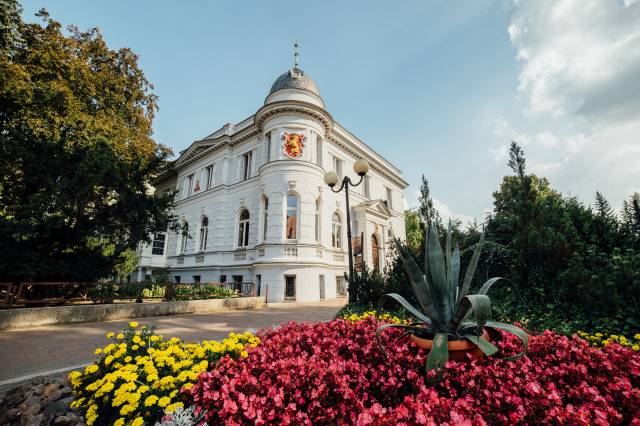 Biblioteka Publiczna w Dębnie