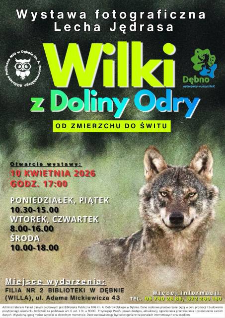 From dusk till dawn – the extraordinary world of the wolves of the Odra Valley