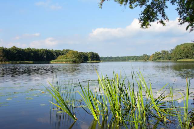 Lake Ostrowieckie