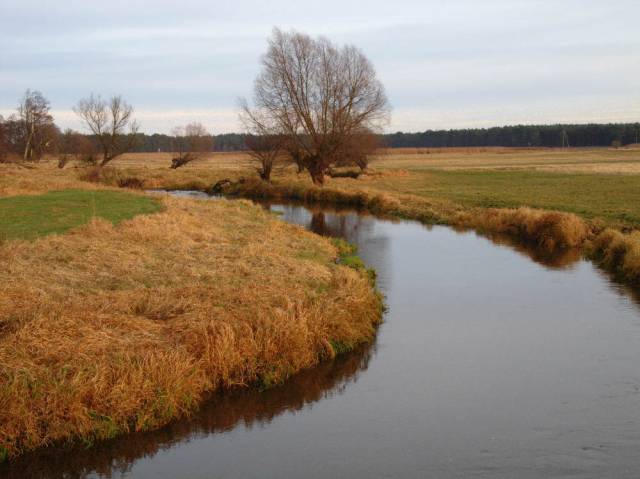 Widok na Myślę