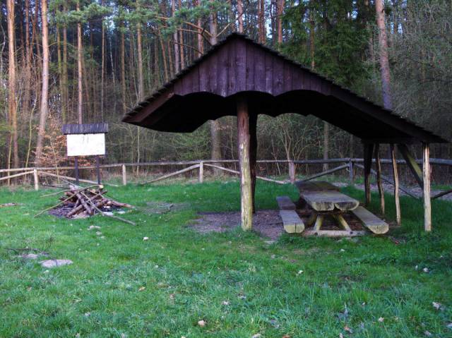 Parking leśny