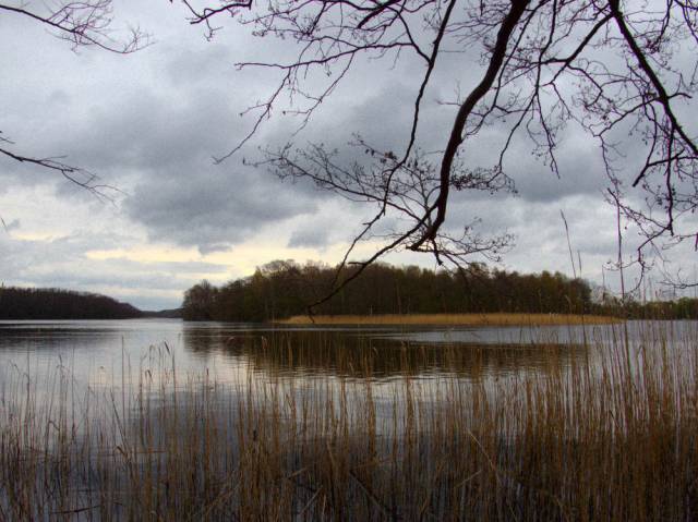 "Czapli Ostrów" Reserve