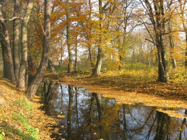 Rzeka Kosa